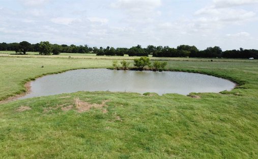 Land in Pilot Point, Texas, United States 1