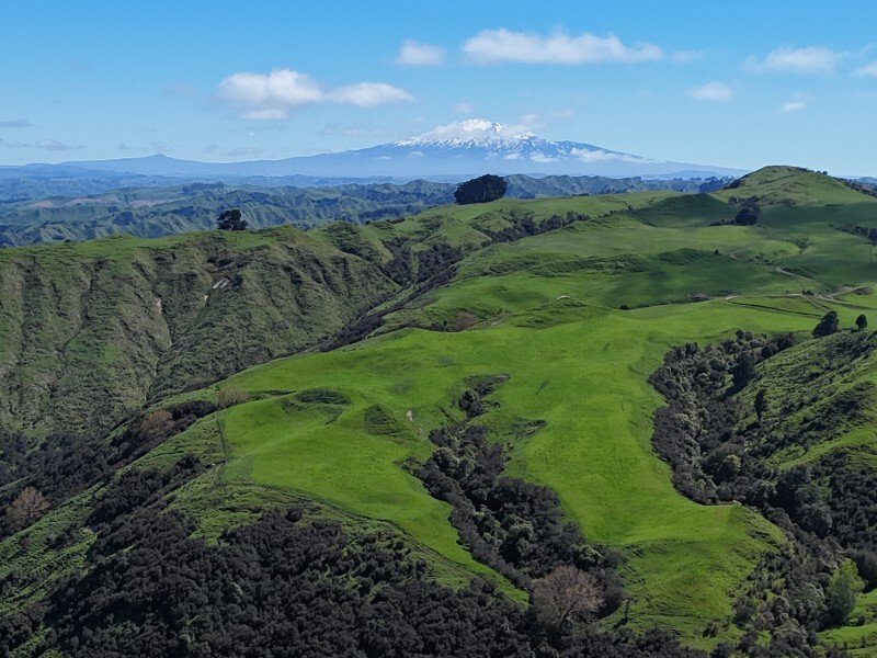 Country House in Mangamahu, Manawatu-Wanganui, New Zealand 1 - 17638428