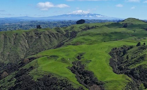 Country House in Mangamahu, Manawatu-Wanganui, New Zealand 1