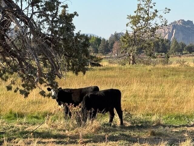 Farm Ranch in Redmond, Oregon, United States 5 - 17638219