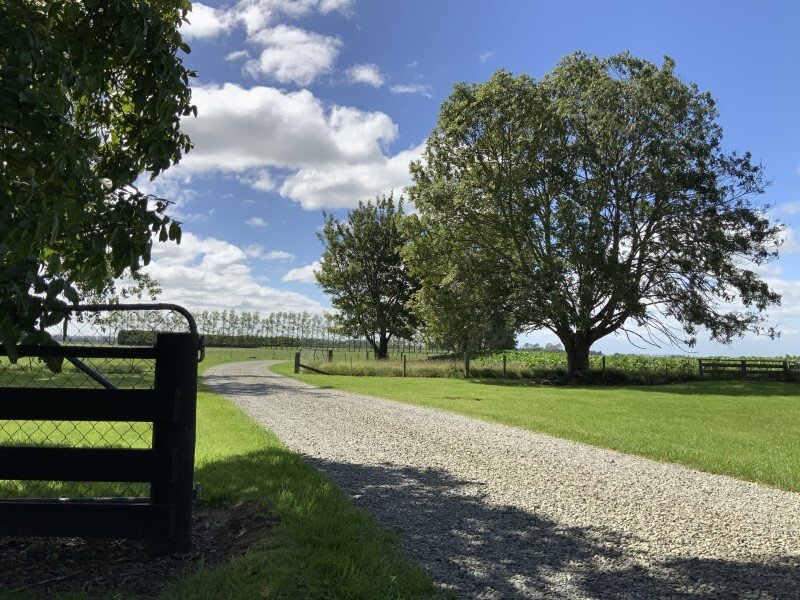 Country House in Carew, Canterbury, New Zealand 1 - 17639276