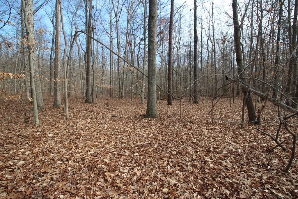 Land in Townsend, Delaware, United States 2 - 17637023