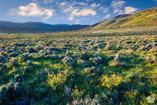 Land in Kamas, Utah, United States 3 - 17637962