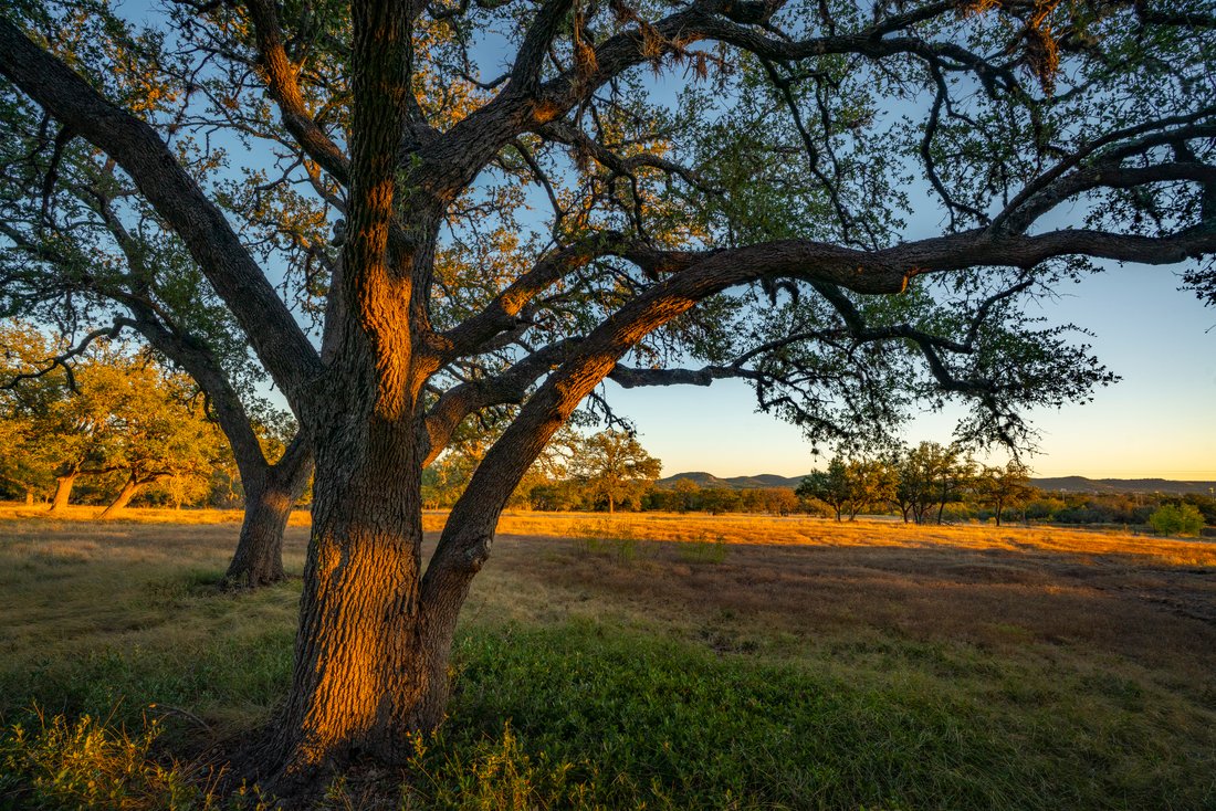 Farm Ranch in Bandera, Texas, United States 4 - 17639518