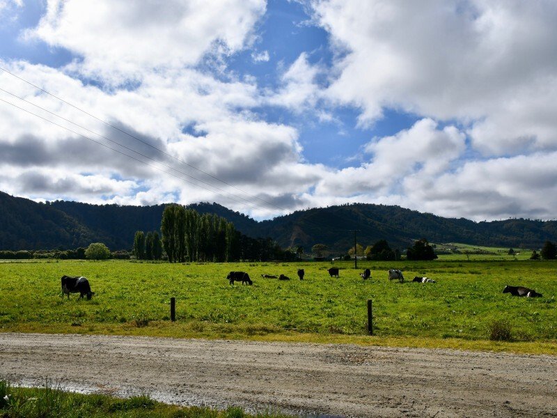 Country House in Karamea, West Coast, New Zealand 4 - 17637451