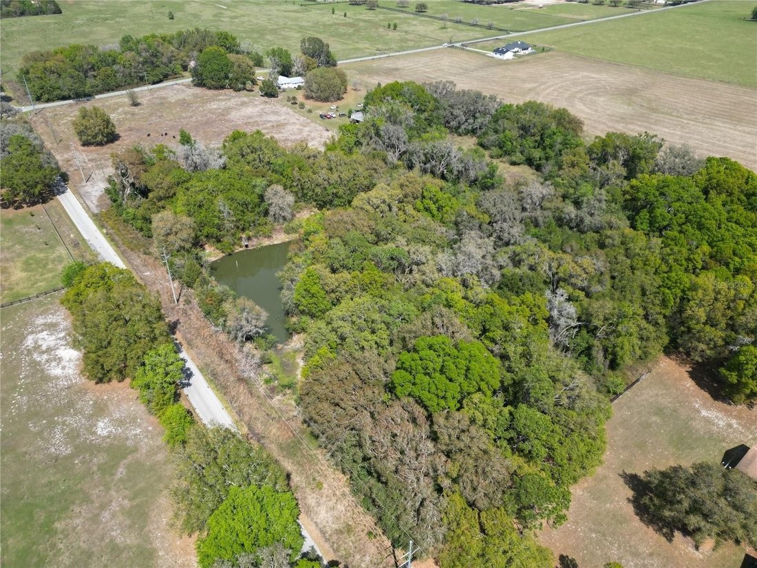 Land in Oxford, Florida, United States 5 - 17635371