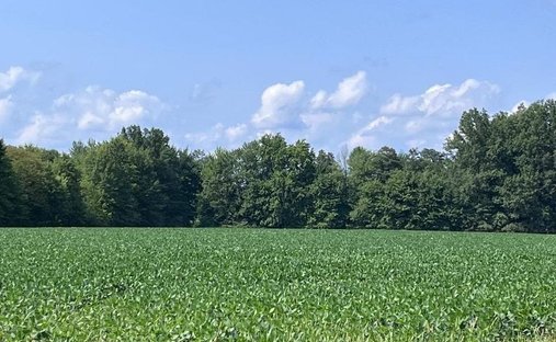Land in Mount Orab, Ohio, United States 1