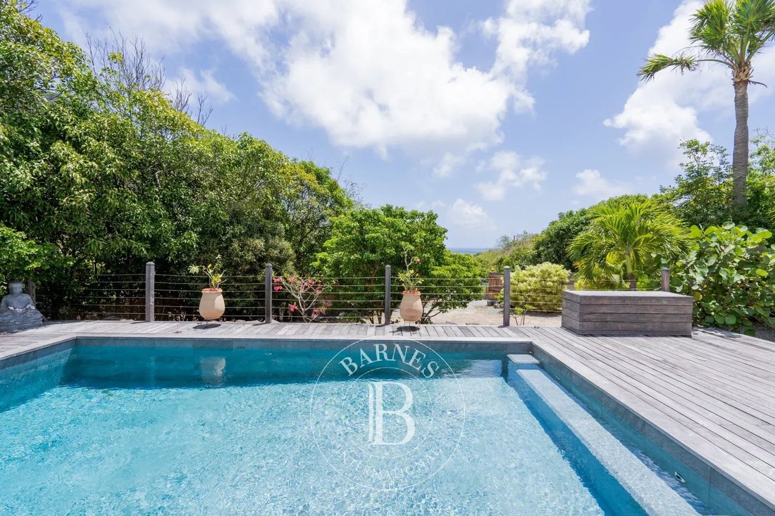 Villa in Grand Fond, Saint Barthélemy 5 - 17633613