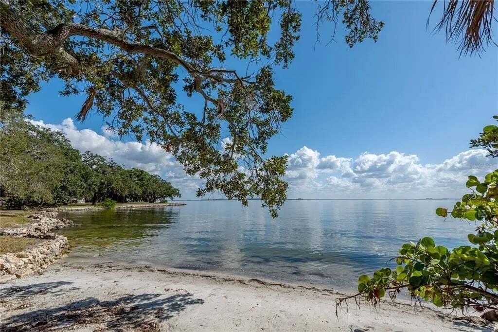 House in Tampa, Florida, United States 2 - 15896617