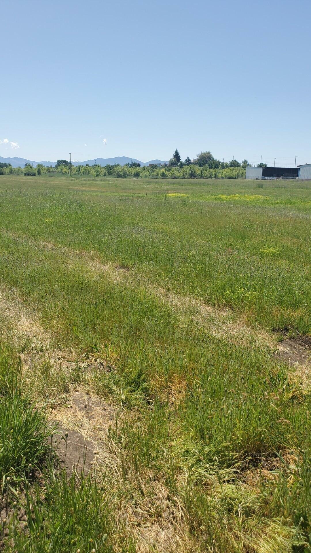 Terreno en Medford, Oregón, Estados Unidos 1 - 17637168