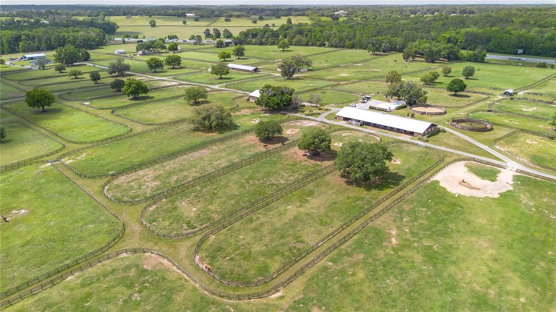 House in Reddick, Florida, United States 5 - 17632802