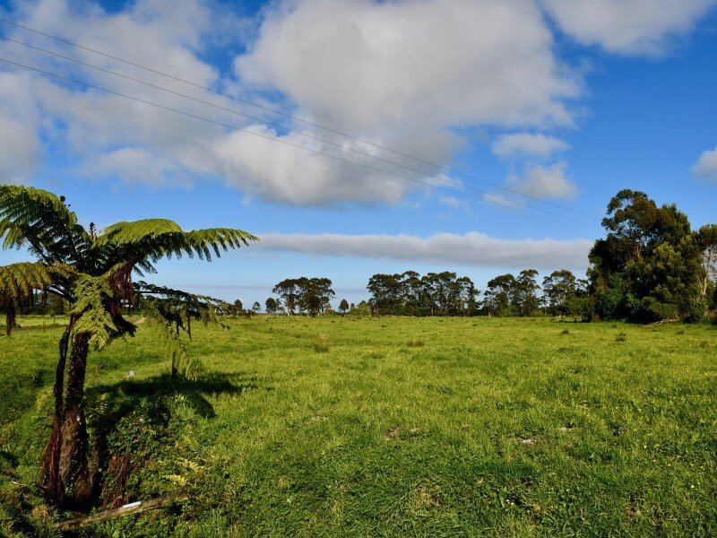 Country House in Karamea, West Coast, New Zealand 5 - 17637451