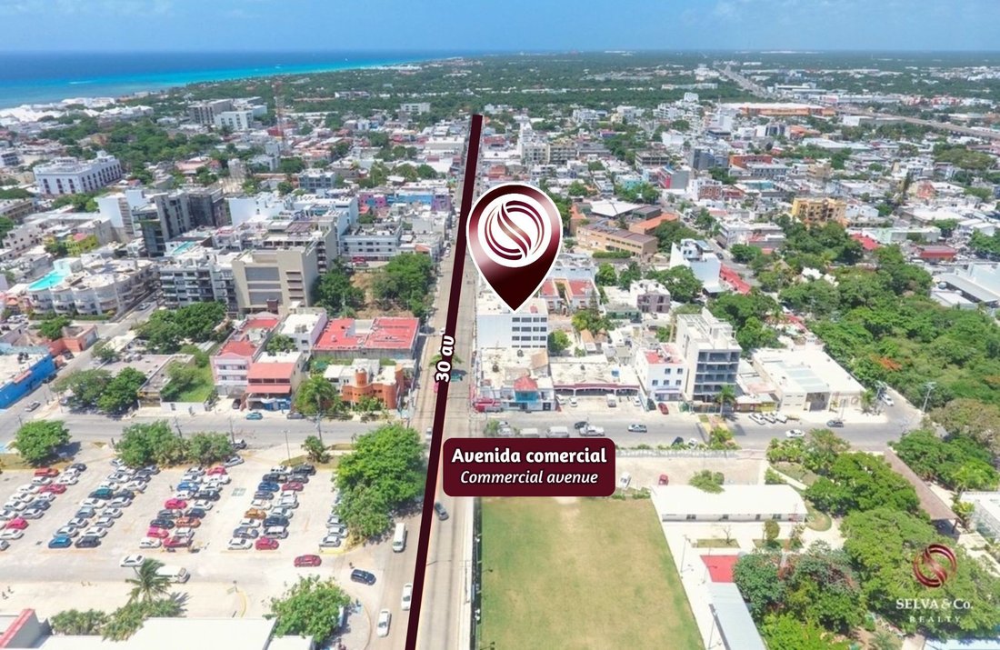 Playa del Carmen, Quintana Roo, Mexico 3 - 17633435