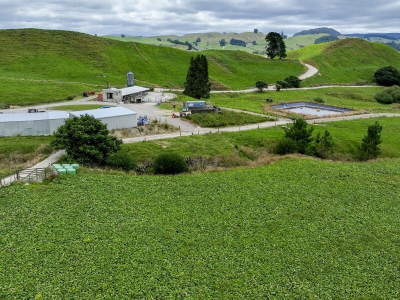 Country House in Ātiamuri, Waikato, New Zealand 4 - 17638448