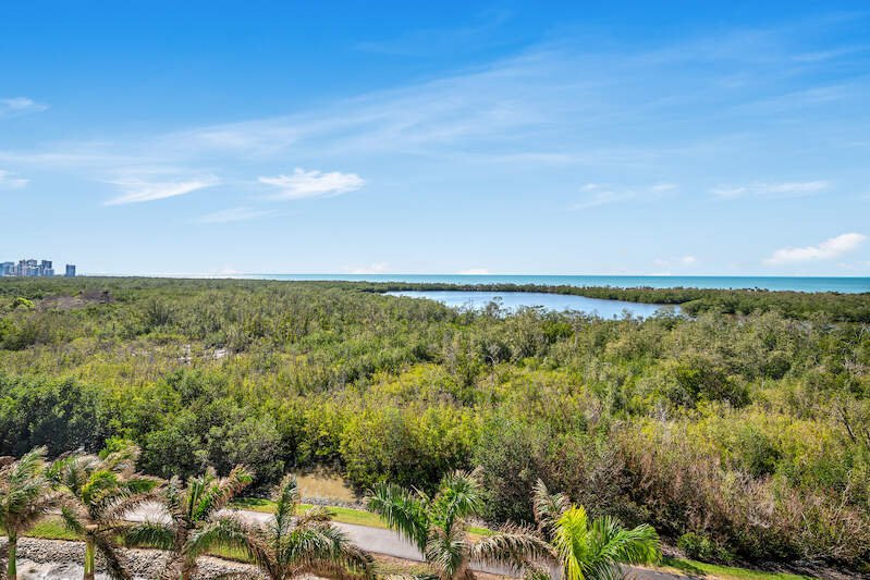 House in Naples, Florida, United States 4 - 13745578