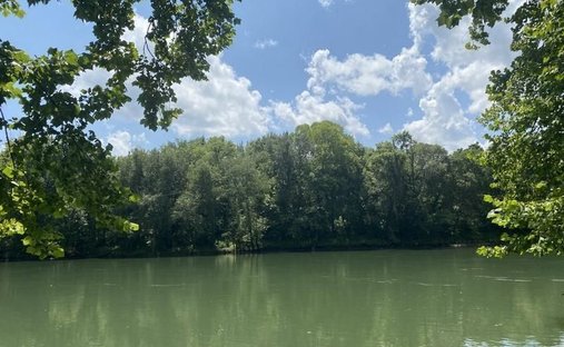 Land in Grider, Kentucky, United States 1
