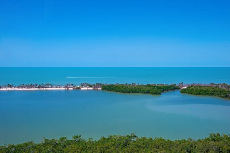 House in Naples, Florida, United States 4 - 15402056