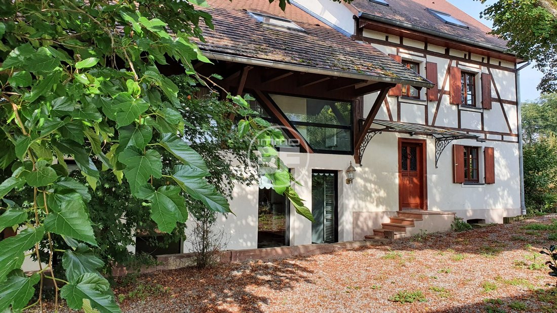 House in Bartenheim, Grand Est, France 3 - 16908382