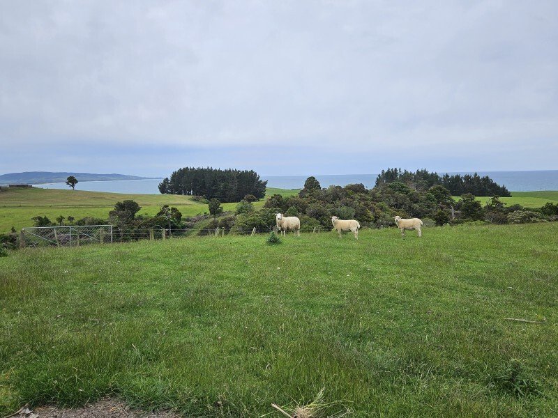 Country House in Kaka Point, Otago, New Zealand 3 - 17638302