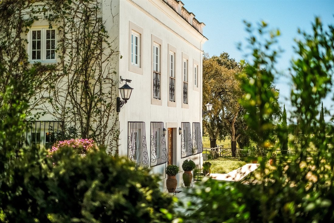 Farm Ranch in Almeirim, Santarem District, Portugal 1 - 16648291