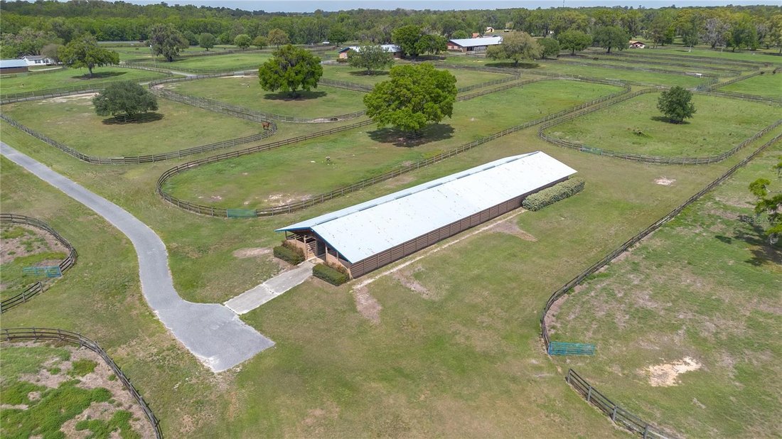 Reddick, Florida, United States 4 - 17632840
