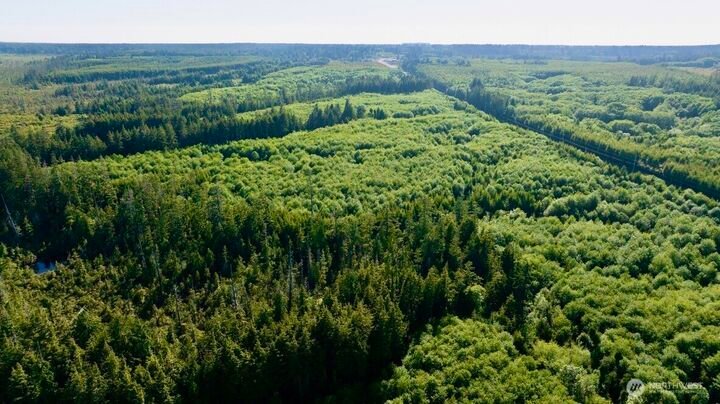 Land in Hoquiam, Washington, United States 2 - 17637774