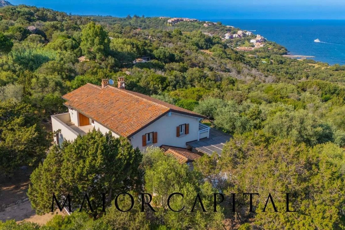 House in Porto Rotondo, Olbia, Sardinia 4 - 17637788