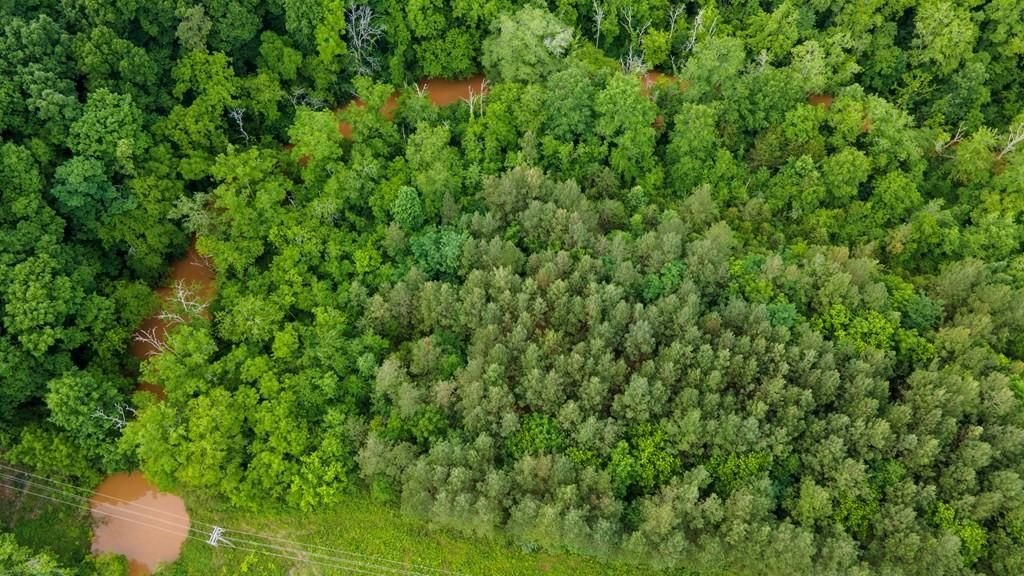 Land in Riceville, Tennessee, United States 3 - 12025965