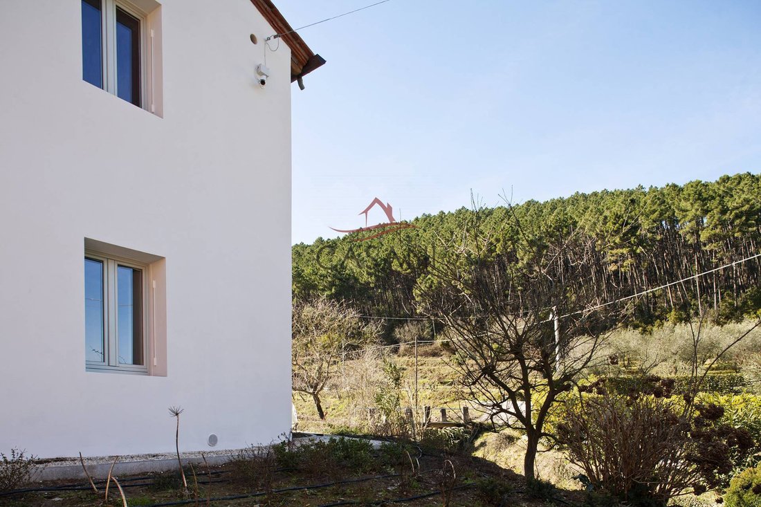 House in Vorno - Coselli, Capannori, Tuscany 5 - 17634333