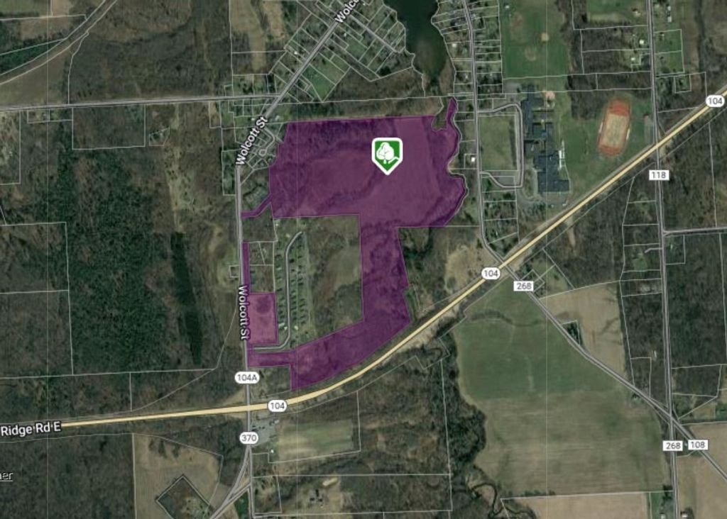 Land in Red Creek, New York, United States 2 - 17636356