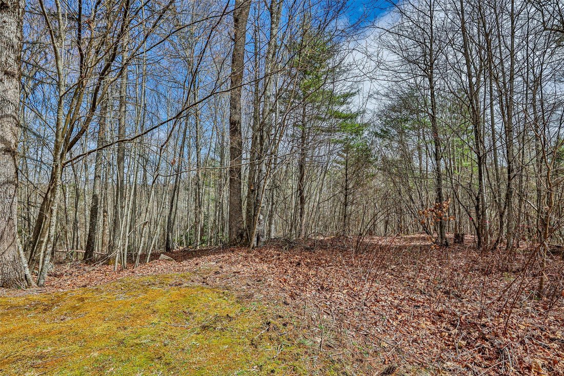 House in Cullowhee, North Carolina, United States 3 - 15396974
