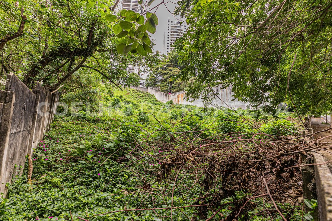 House in São Paulo, State of São Paulo, Brazil 4 - 17636121