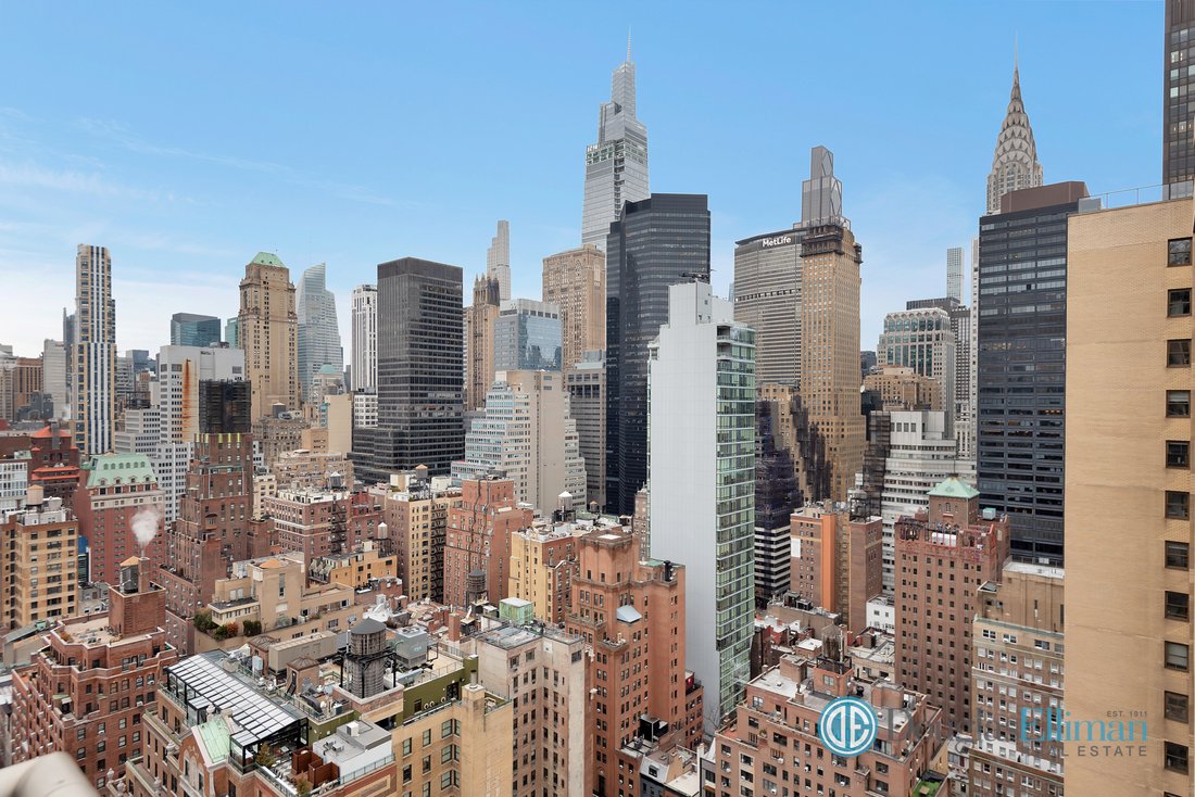 Condo in New York, New York, United States 5 - 17389212