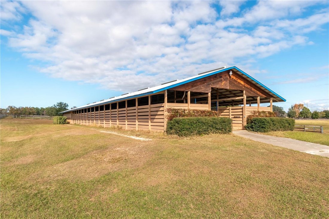 Reddick, Florida, United States 2 - 17632840