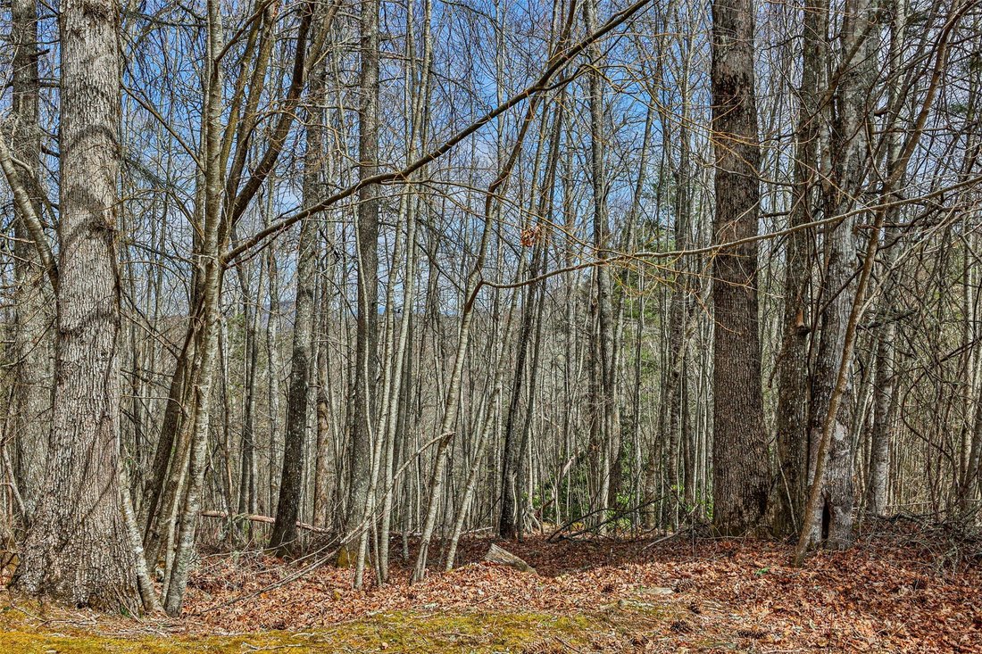 House in Cullowhee, North Carolina, United States 2 - 15396974