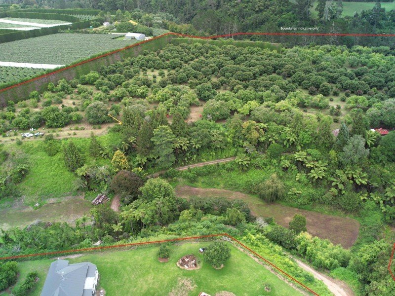 Country House in Te Puke, Bay of Plenty, New Zealand 4 - 17637523