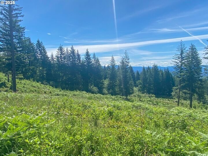 House in Camas, Washington, United States 4 - 17635464