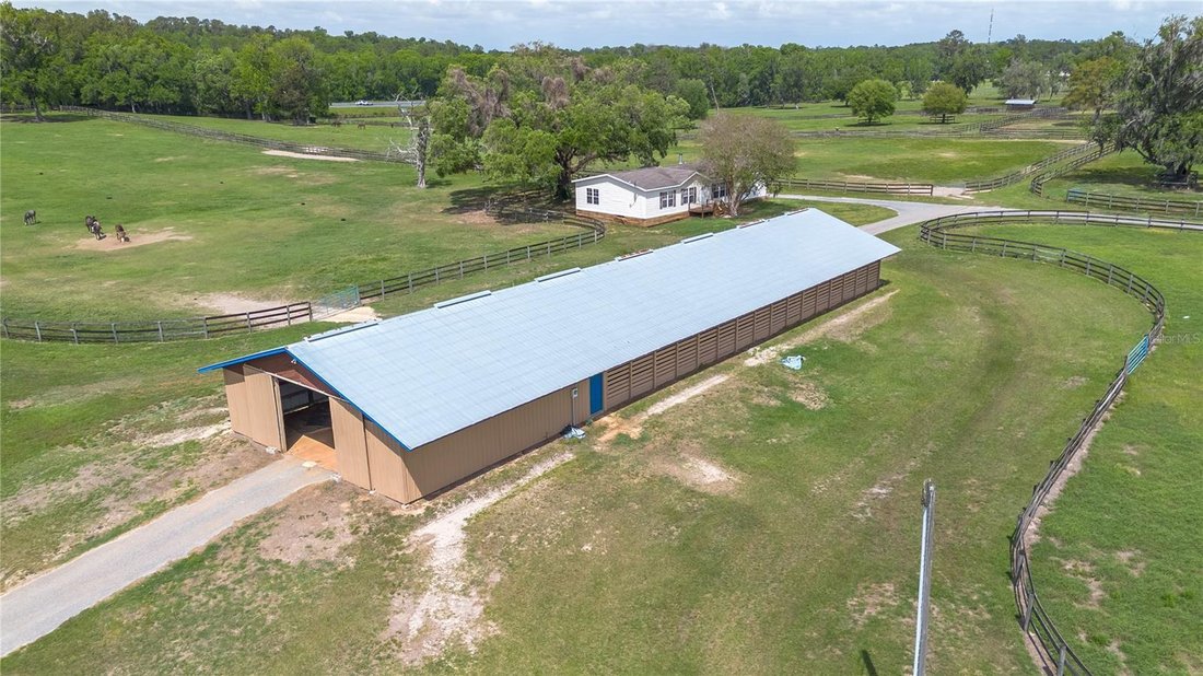 Reddick, Florida, United States 3 - 17632840