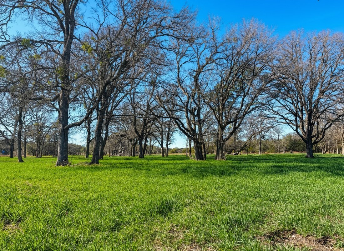 Farm Ranch in The Grove, Texas, United States 3 - 17640435