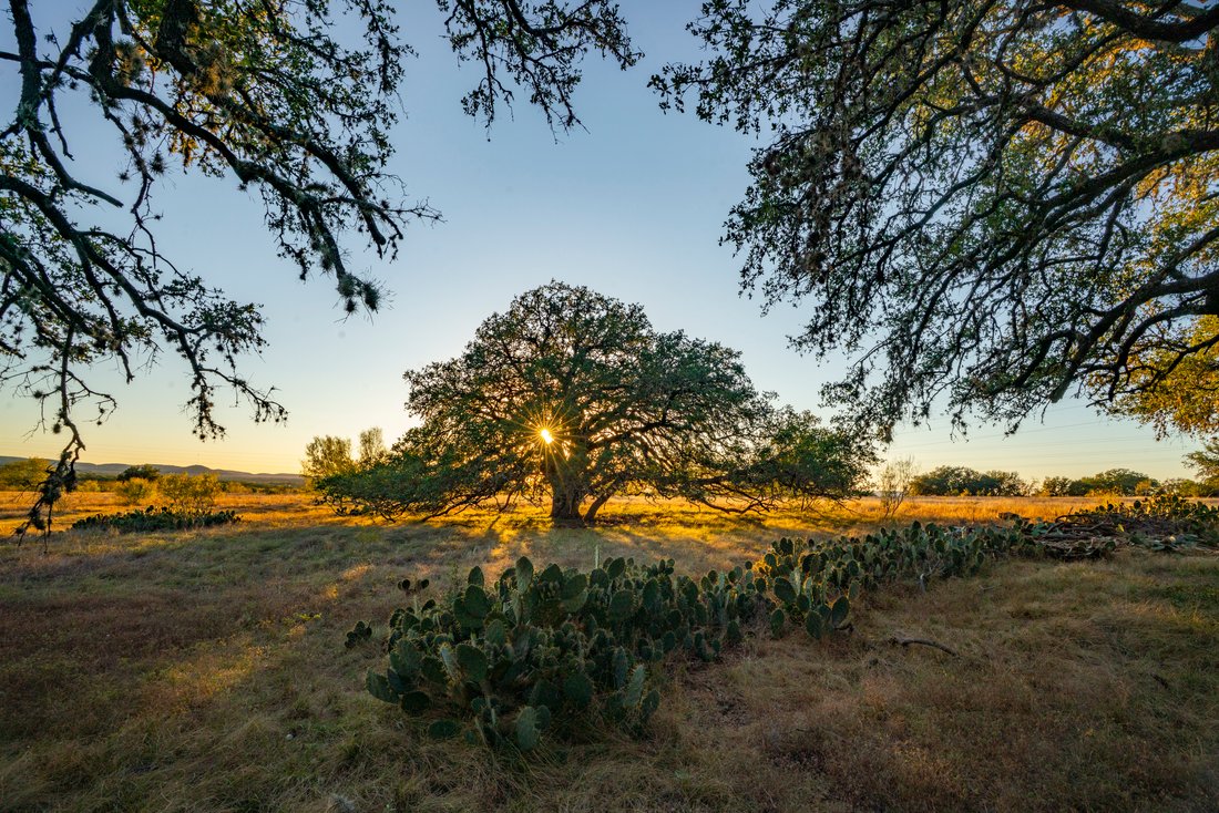 Farm Ranch in Bandera, Texas, United States 5 - 17639518