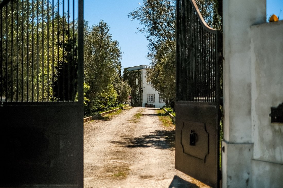 Farm Ranch in Almeirim, Santarem District, Portugal 2 - 16648291
