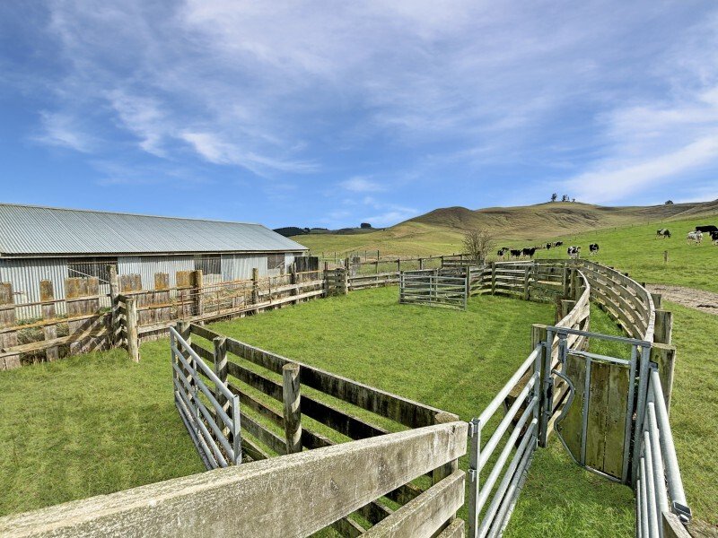 Country House in Windsor, Otago, New Zealand 2 - 17637484