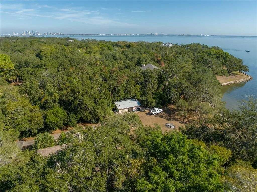 House in Tampa, Florida, United States 3 - 15896617