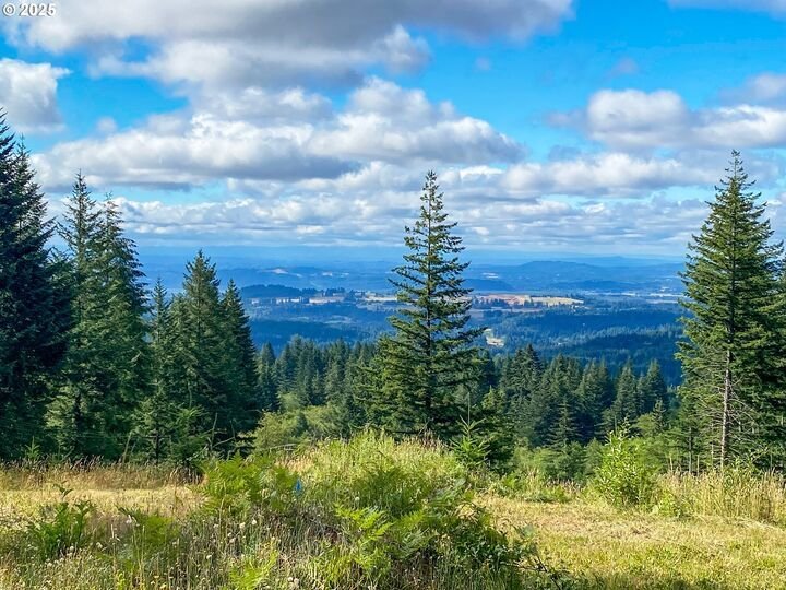 Haus in Camas, Washington, Vereinigte Staaten 2 - 17635450