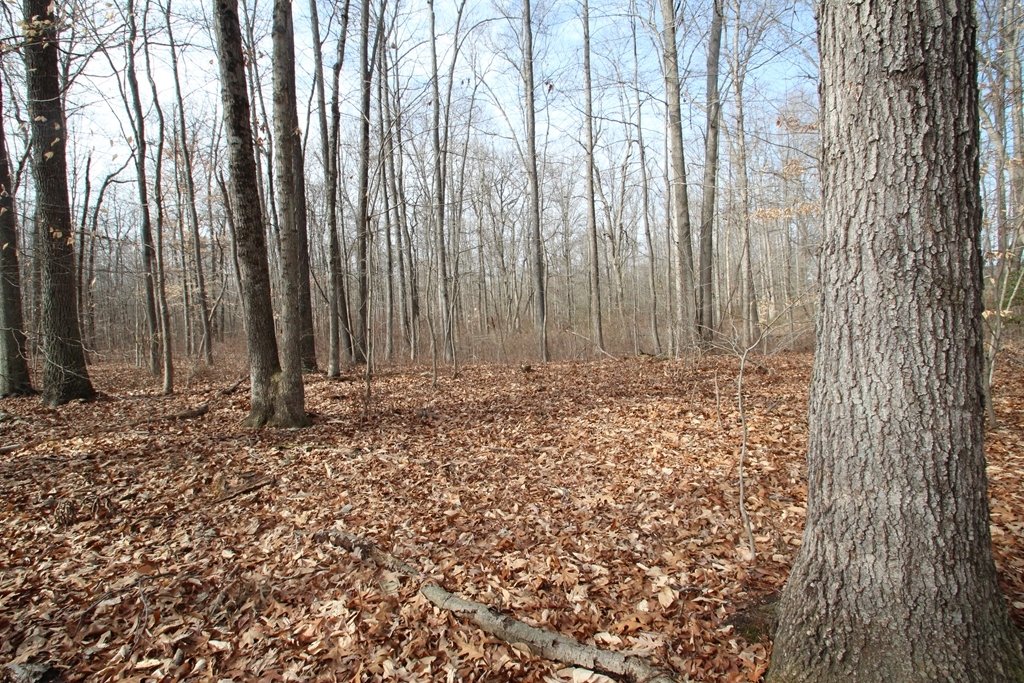 Land in Townsend, Delaware, United States 3 - 17637023