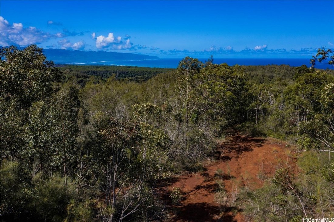 Land in Haleiwa, Hawaii, United States 1 - 17637896