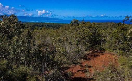 Land in Haleiwa, Hawaii, United States 1