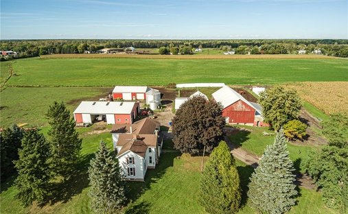 Farm Ranch in Clarence Center, New York, United States 1