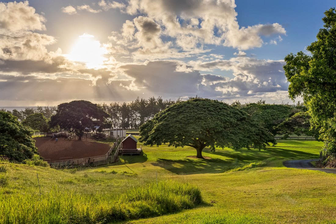House in Hana, Hawaii, United States 4 - 16842542