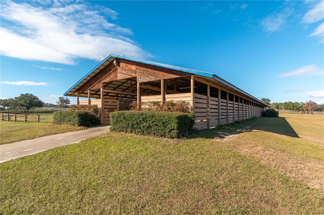 Reddick, Florida, United States 1 - 17632840